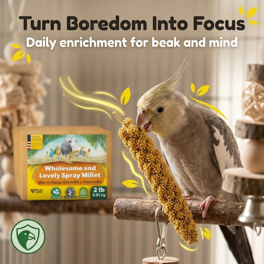 Birds LOVE parakeet enrichment with millet clusters during playtime.