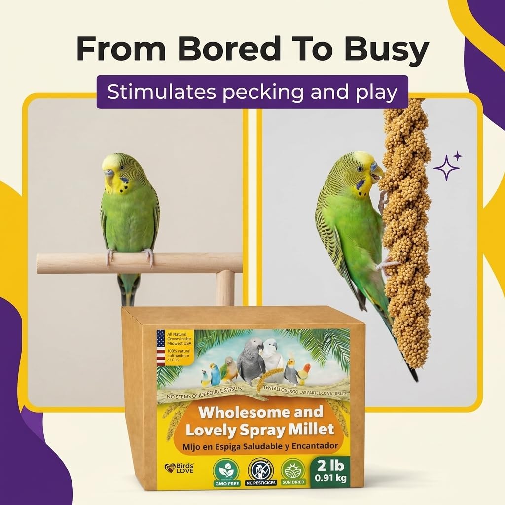 Birds LOVE parrot care with single-ingredient millet snack.