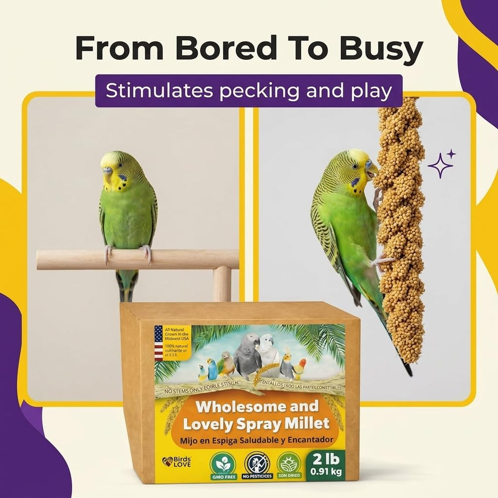 Birds LOVE parrot care with single-ingredient millet snack.