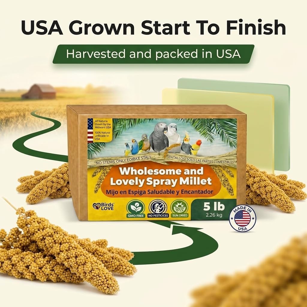 Single-ingredient Birds LOVE millet presented as wholesome treat for birds.