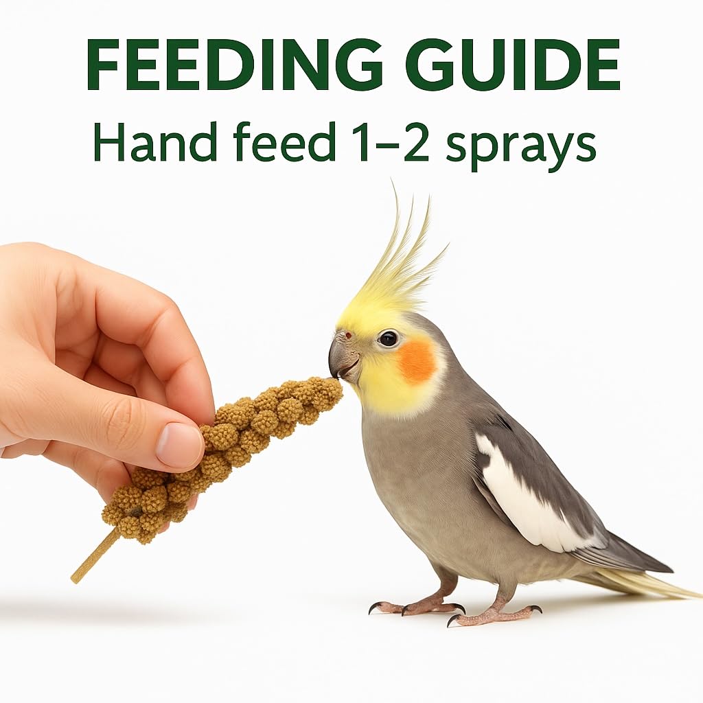 Birds LOVE special spray millet top-only—no stems, convenient treat for quick rewards during training.
