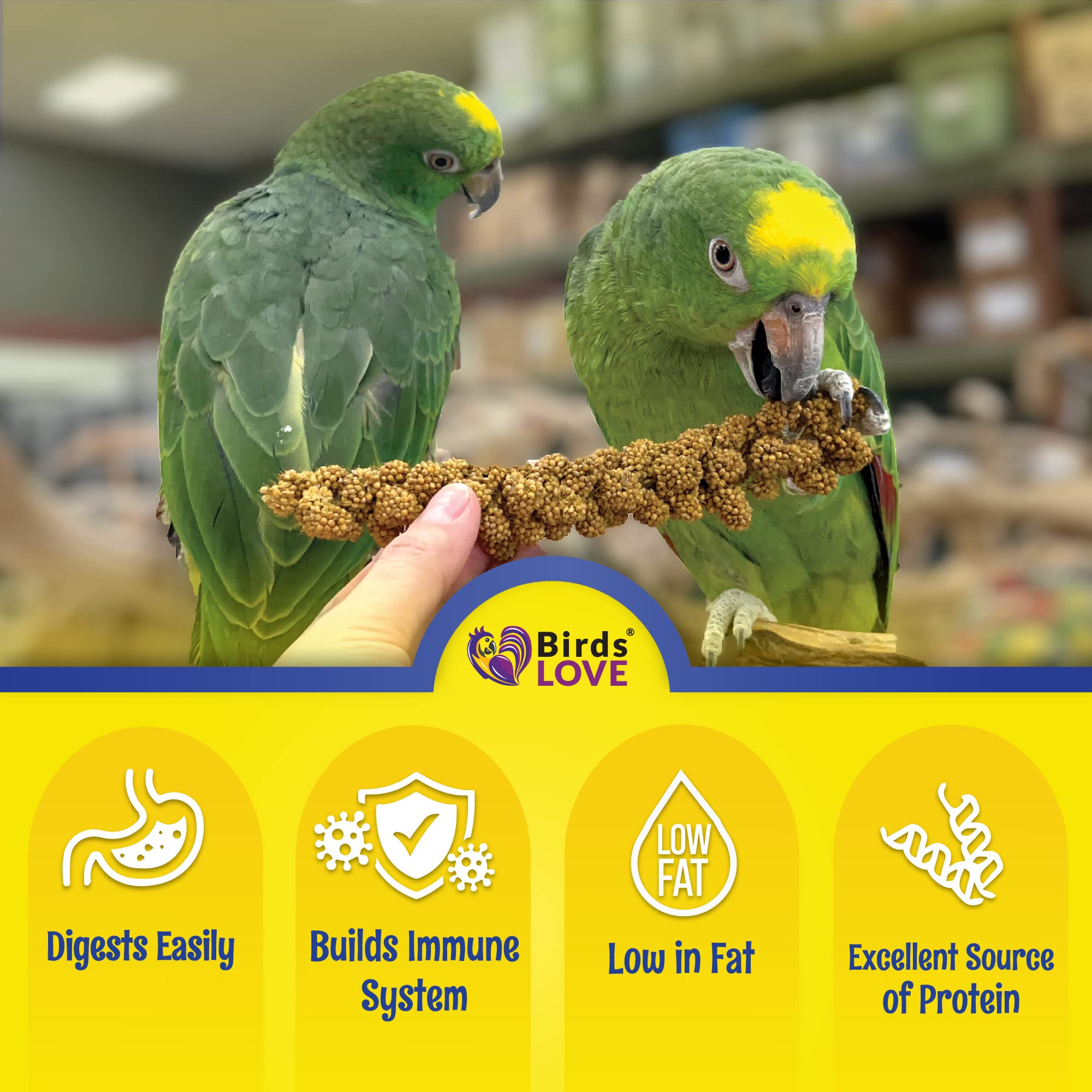 Birds LOVE sprouted millet option image highlighting amino acid richness.