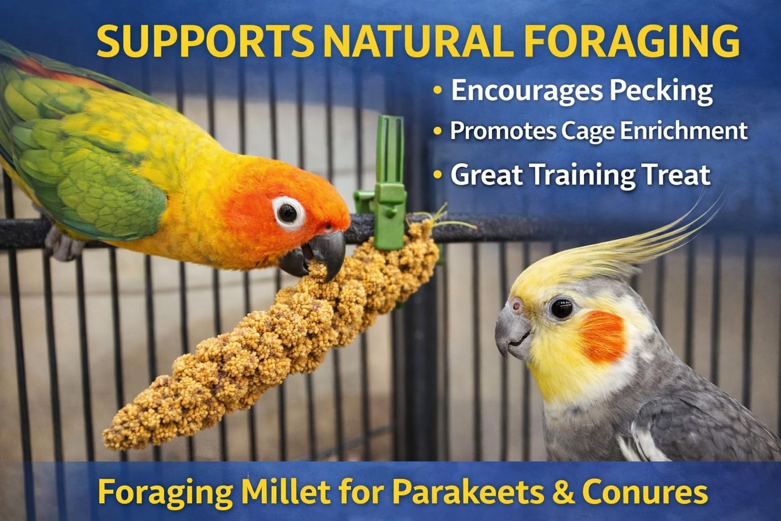 Birds LOVE sun-dried millet clusters shown for natural parrot treats.