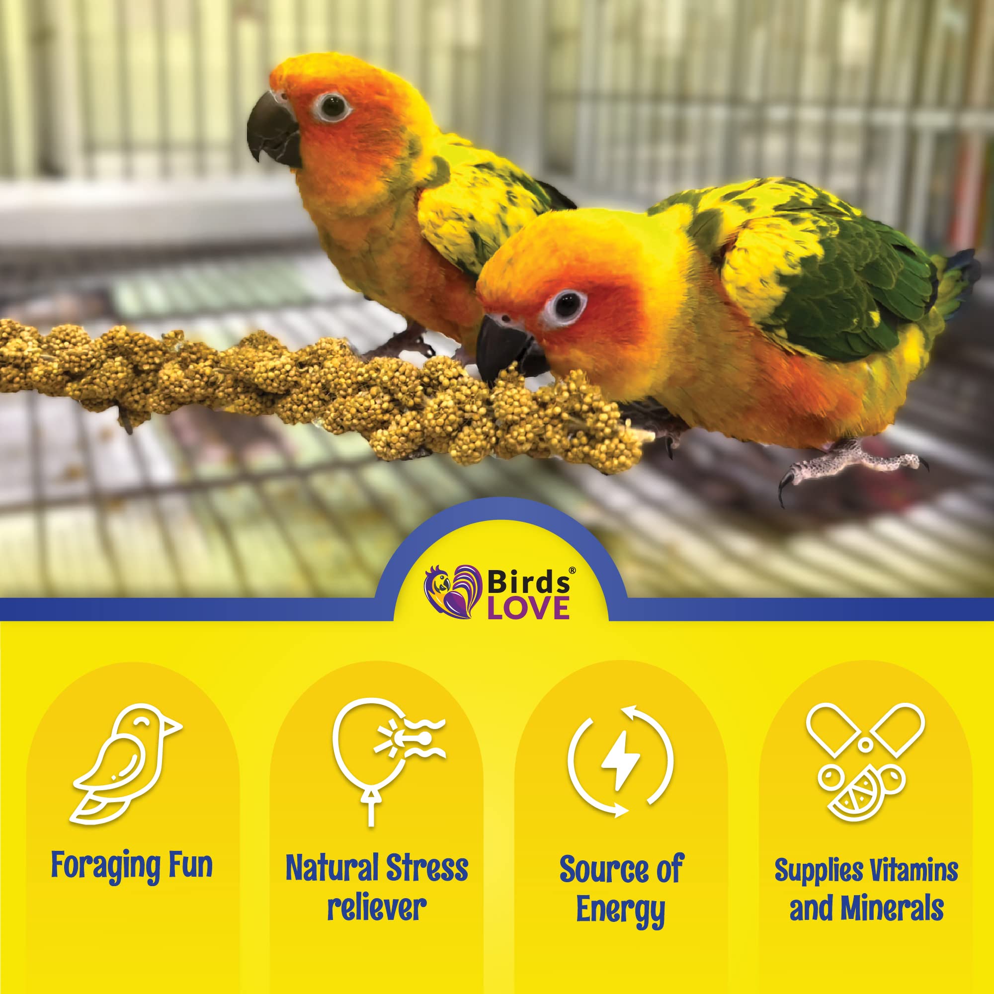 Birds LOVE sun-dried millet treat preserving natural flavor for birds