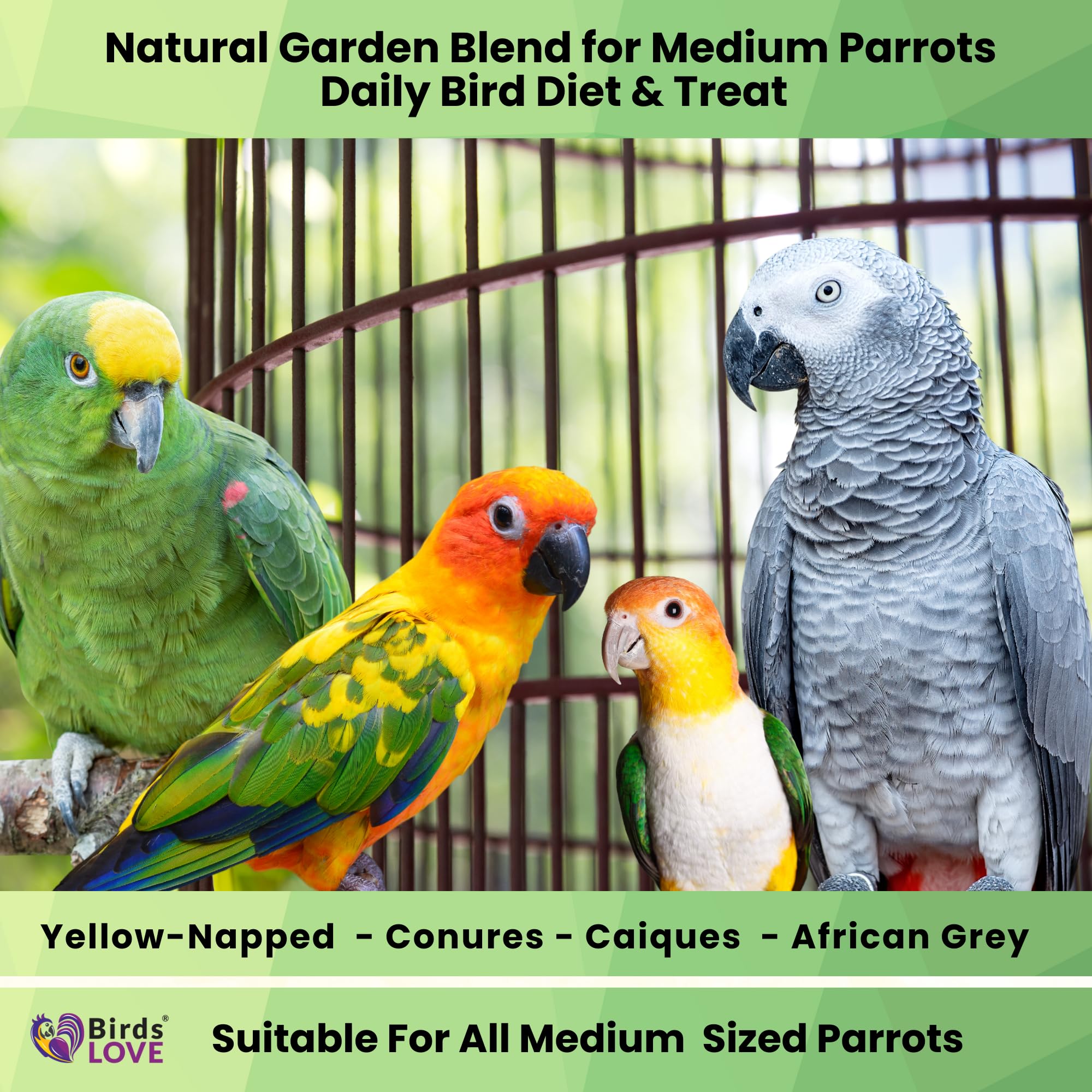 Birds LOVE sunflower-free formula closeup, supports diverse diet without sunflower seeds.