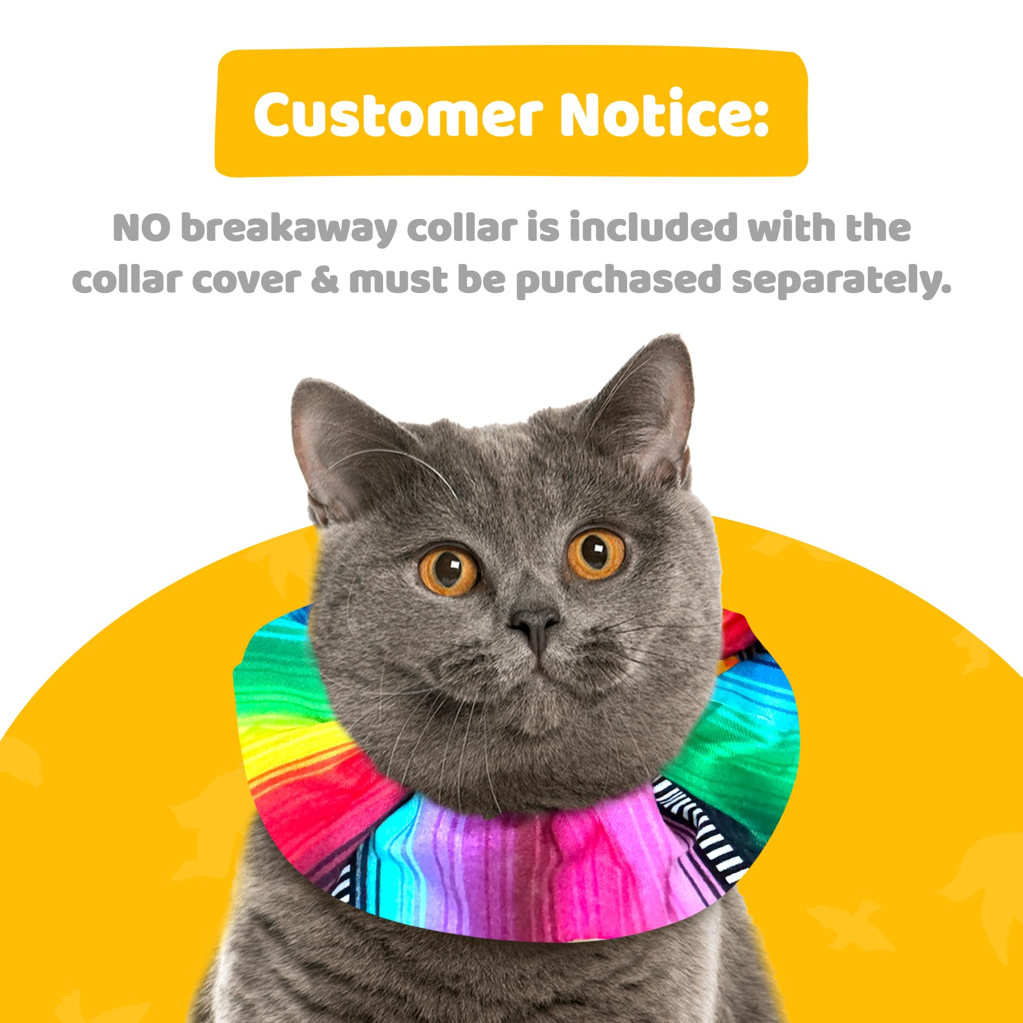Birdsbesafe Frida collar cover supports safe outdoor time and wildlife protection.