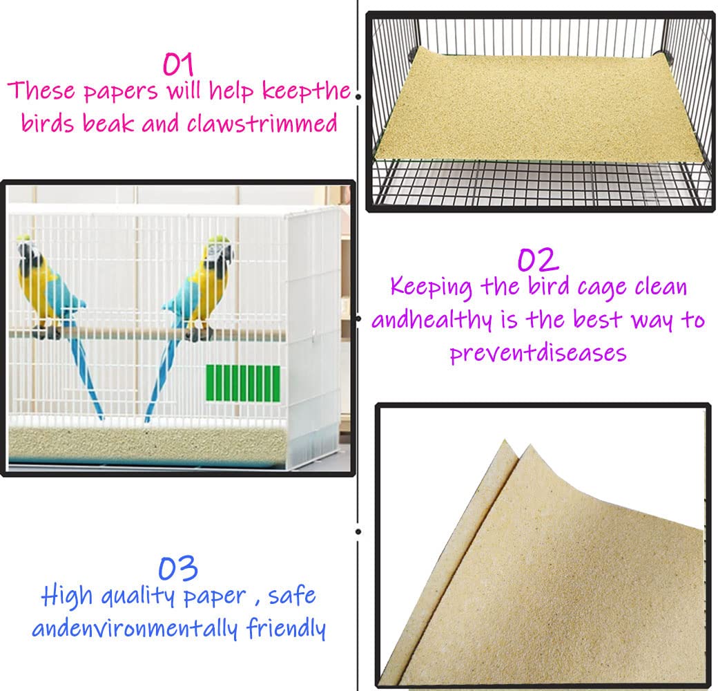 Sea-sand texture on Birheatry gravel paper supports beak and claw wear.