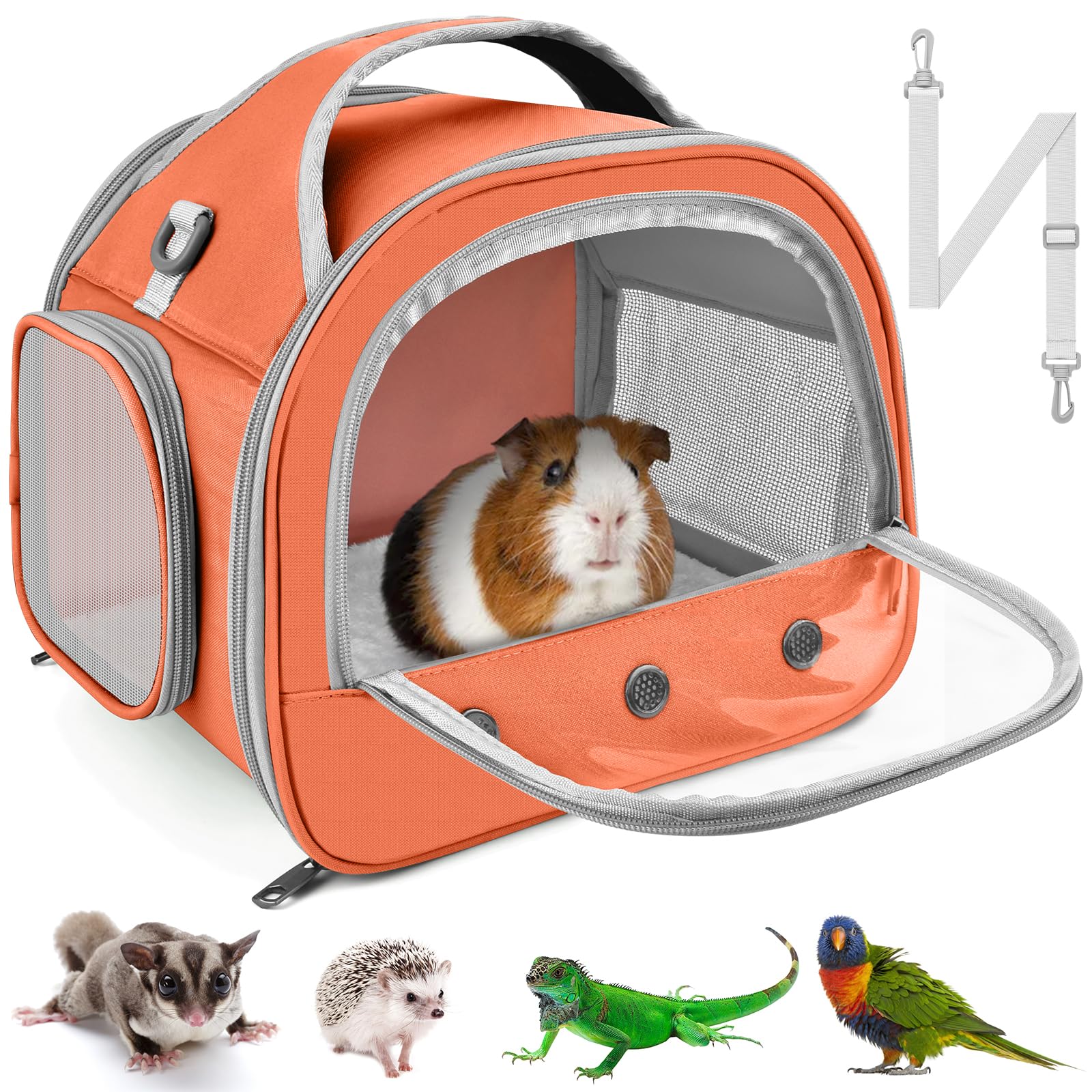 Bissap travel carrier front window design for easy visibility of your bearded dragon