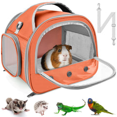 Bissap travel carrier front window design for easy visibility of your bearded dragon