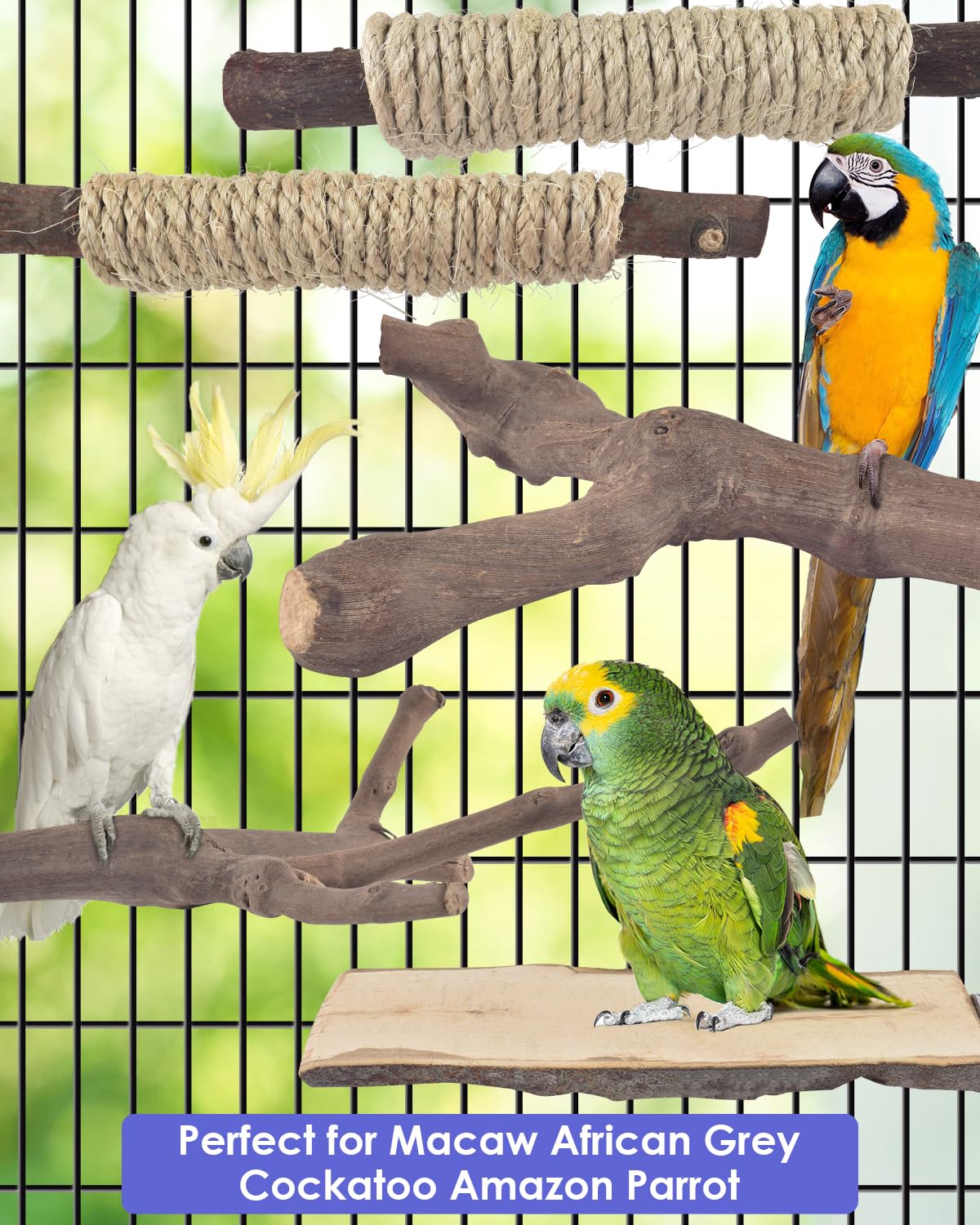 Bissap parrot cage accessory perches ideal for Macaw and African Grey enrichment