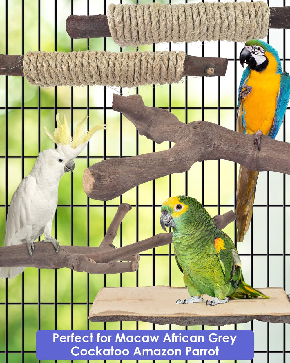 Bissap parrot cage accessory perches ideal for Macaw and African Grey enrichment