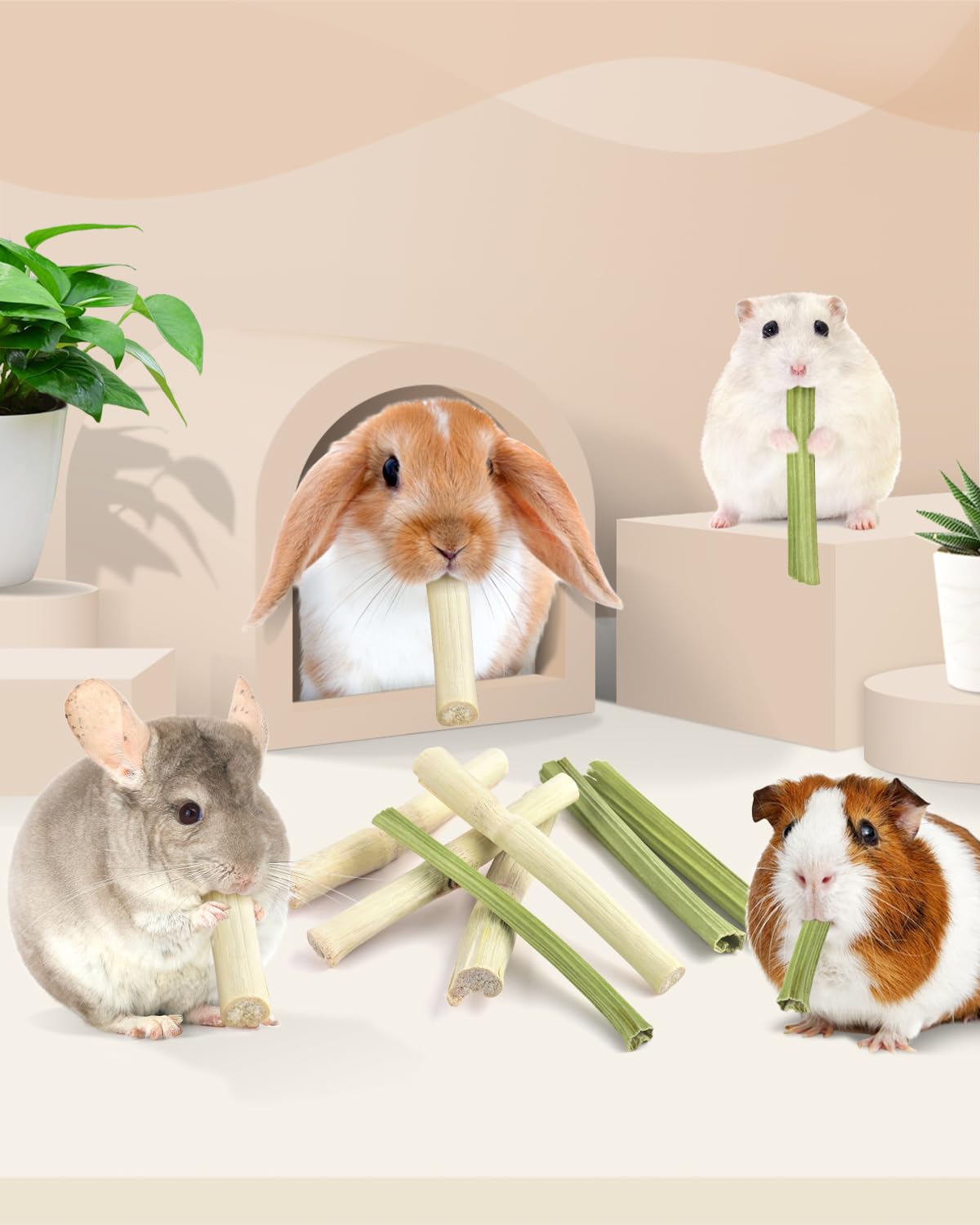 Bissap pets enjoy chews in cage, promoting interaction and enrichment.
