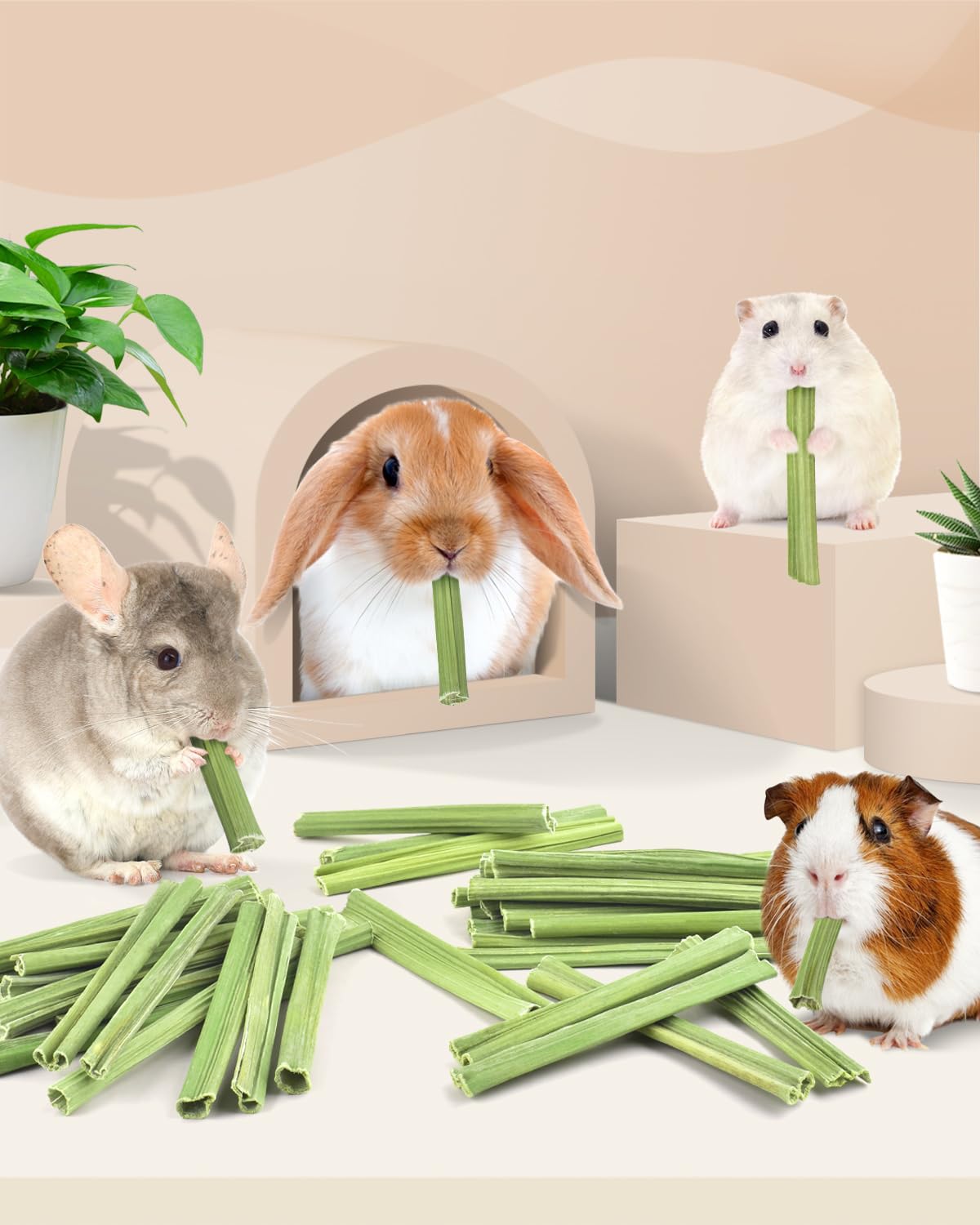 Bissap natural papaya stems provide a low-calorie, high-fiber snack.