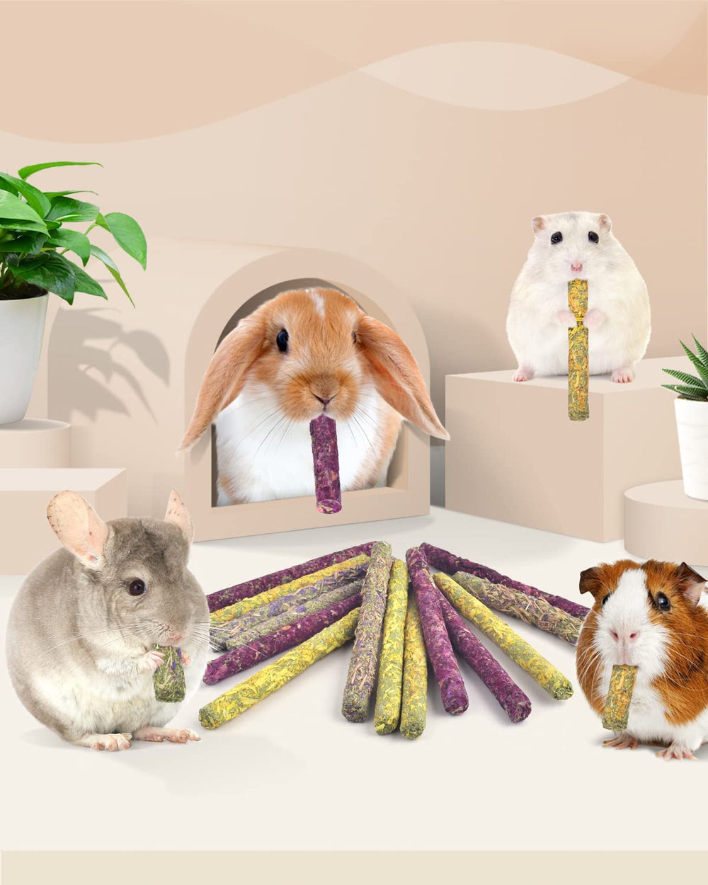 Bissap rabbit chew sticks packaging easy to store and gift-ready