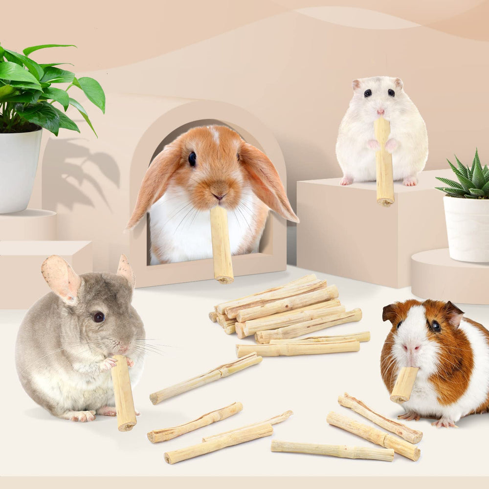 Bissap small animal chew toy suitable for hamsters, guinea pigs, and rabbits.