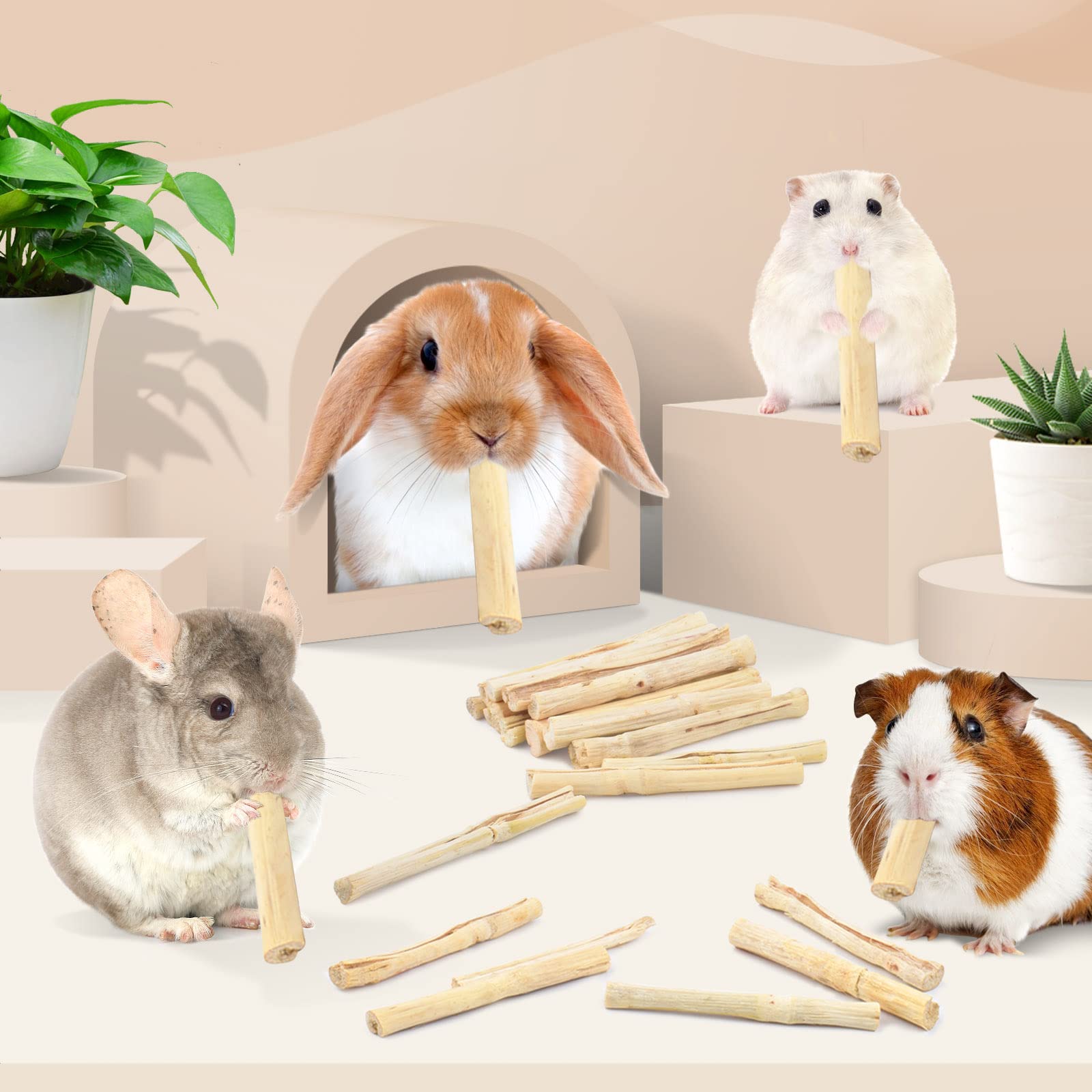 Bissap sticks provide interactive feeding for small animals like hamsters.