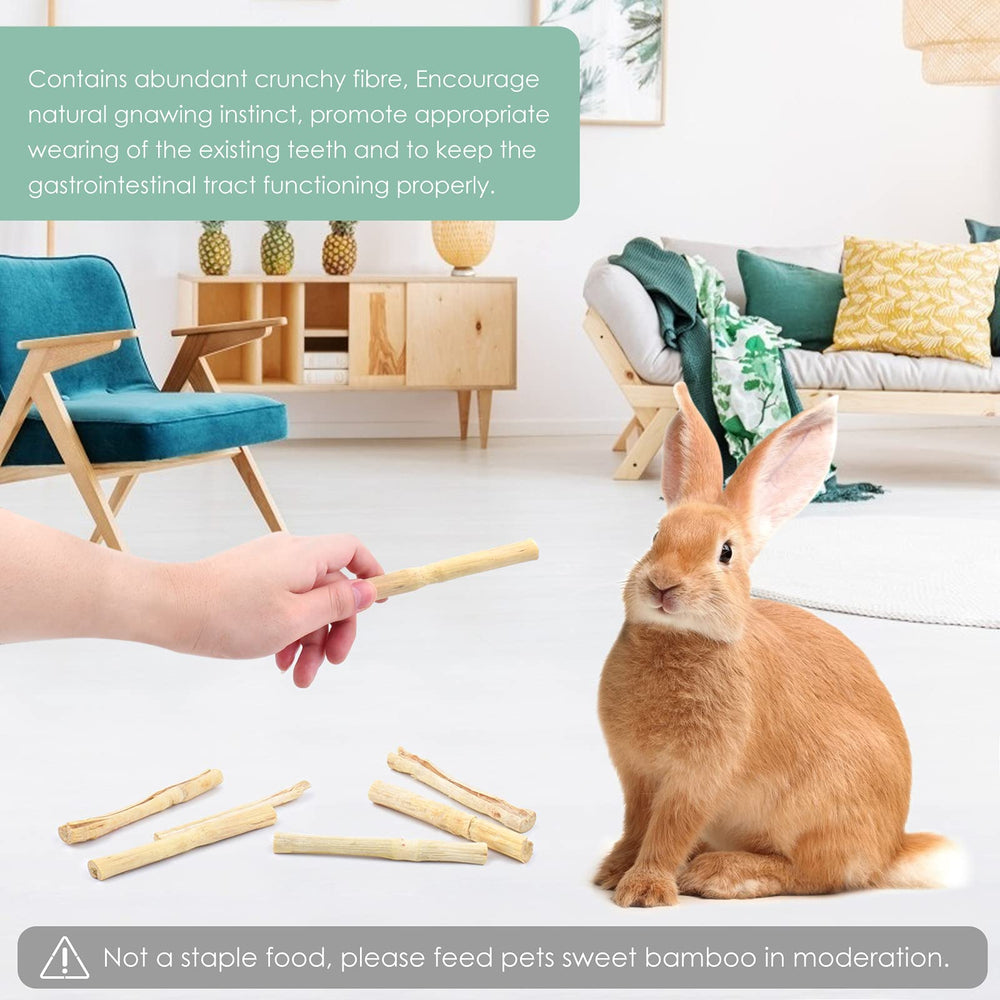 Bissap bamboo chew stick for chinchillas encourages natural gnawing