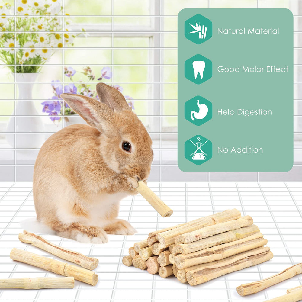 Bissap bamboo chew stick for squirrels adds interactive play