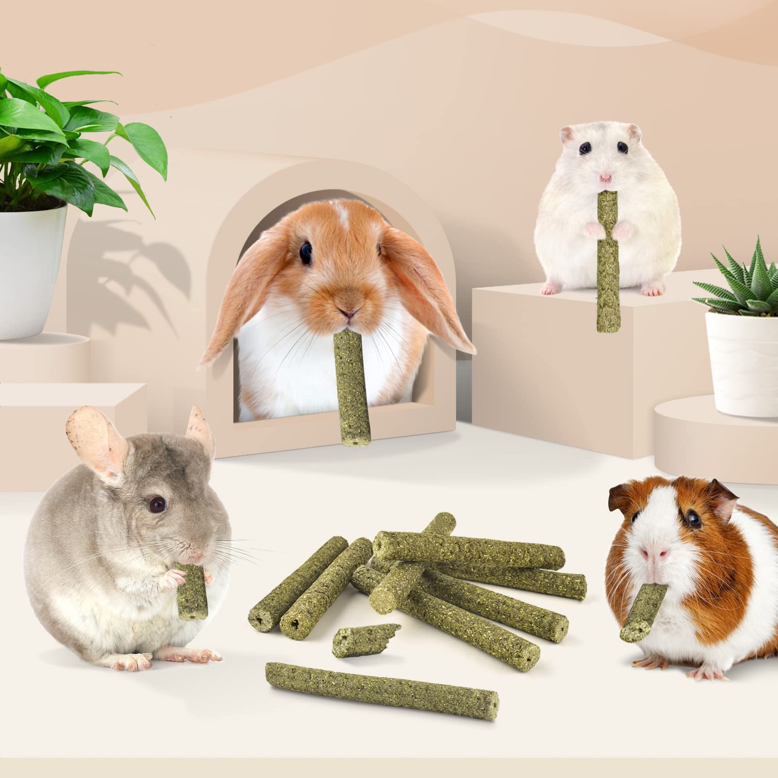 Bissap Timothy hay sticks provide foraging enrichment in small animal cages.