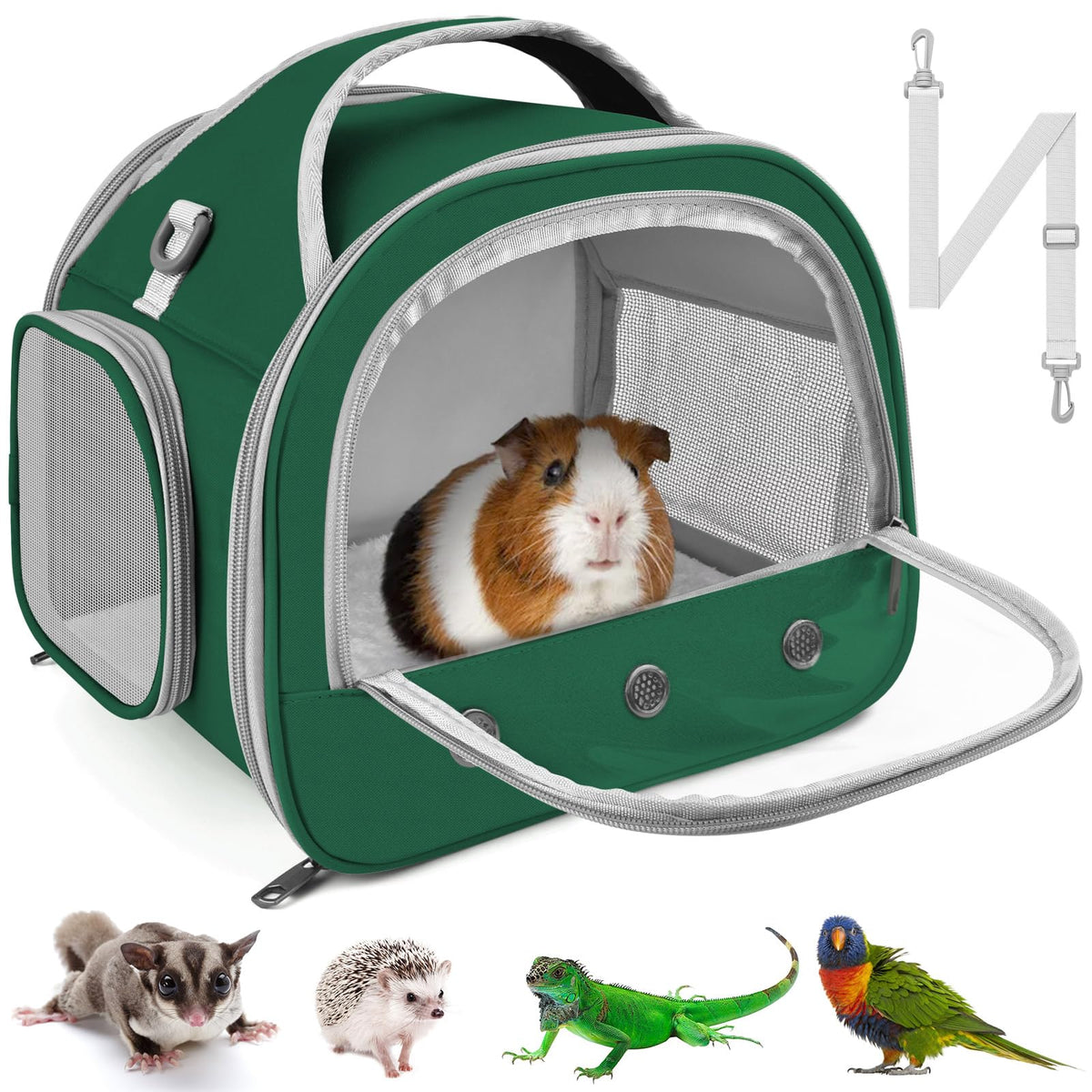 Bissap travel carrier front window showing pet-facing view and surroundings
