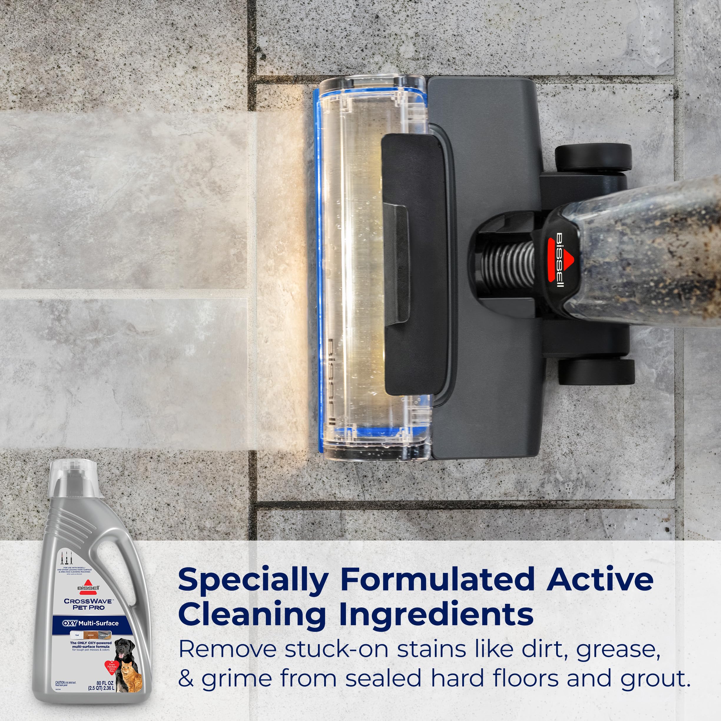 Bissell CrossWave Pet Pro Oxy area rug cleaning brightens and refreshes rugs