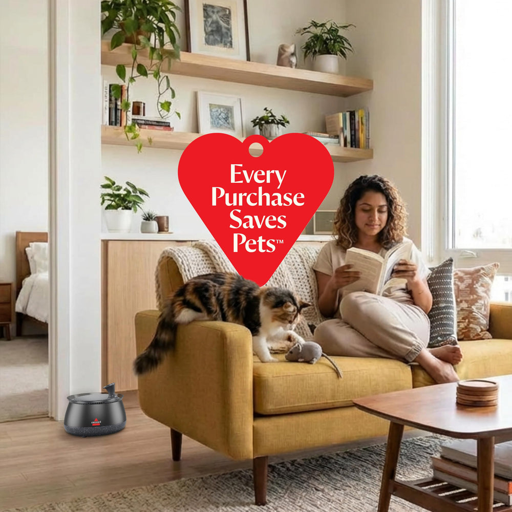 Bissell HydrateWell ultra-quiet operation at night supports peaceful pet hydration.
