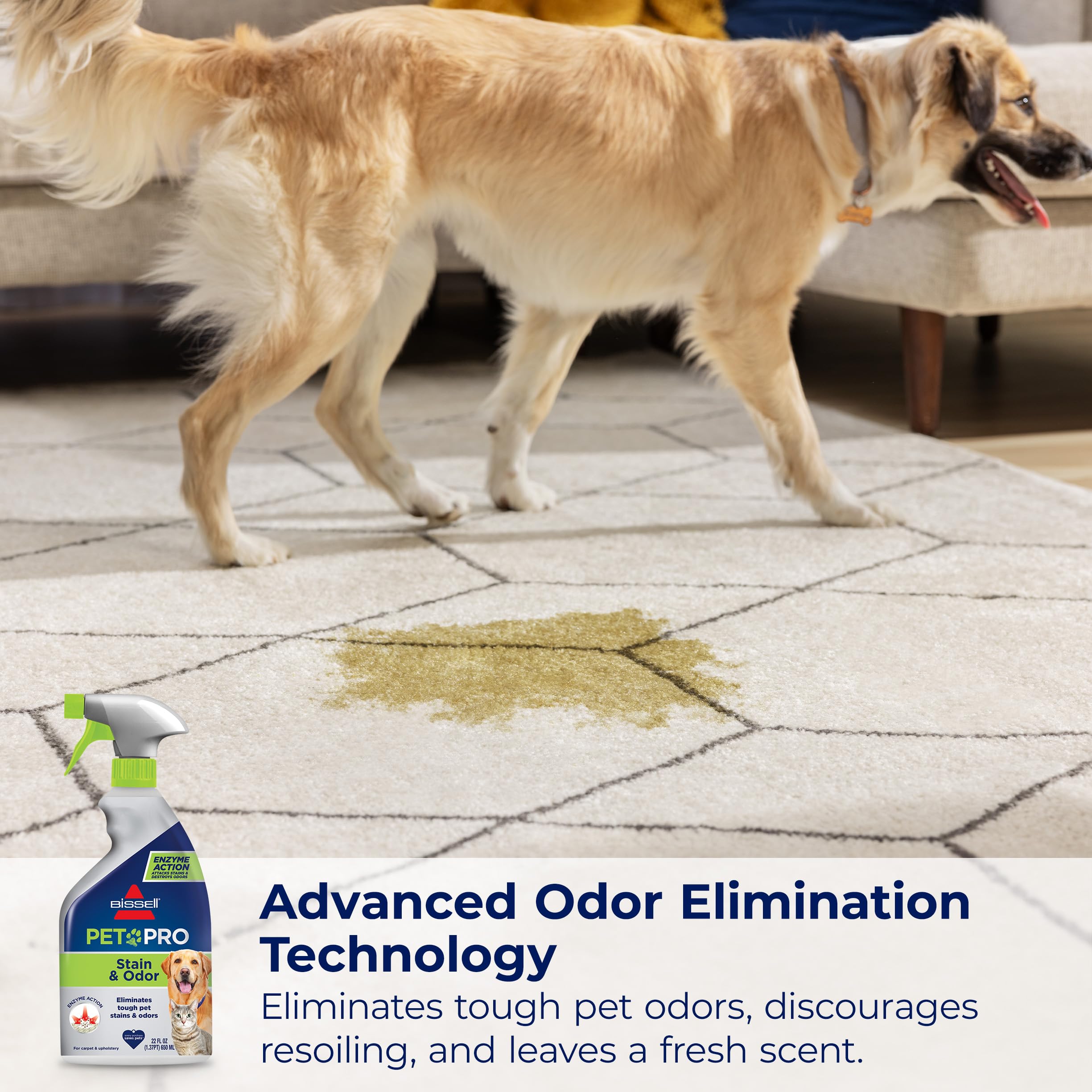 Bissell Pet Pro after cleaning odor elimination on carpet