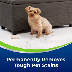 Pet mess area treated with Woolite Advantage for fresh results