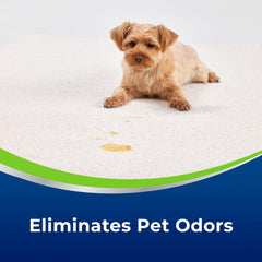 Upholstery cleaning with Woolite Advantage and odor neutralization