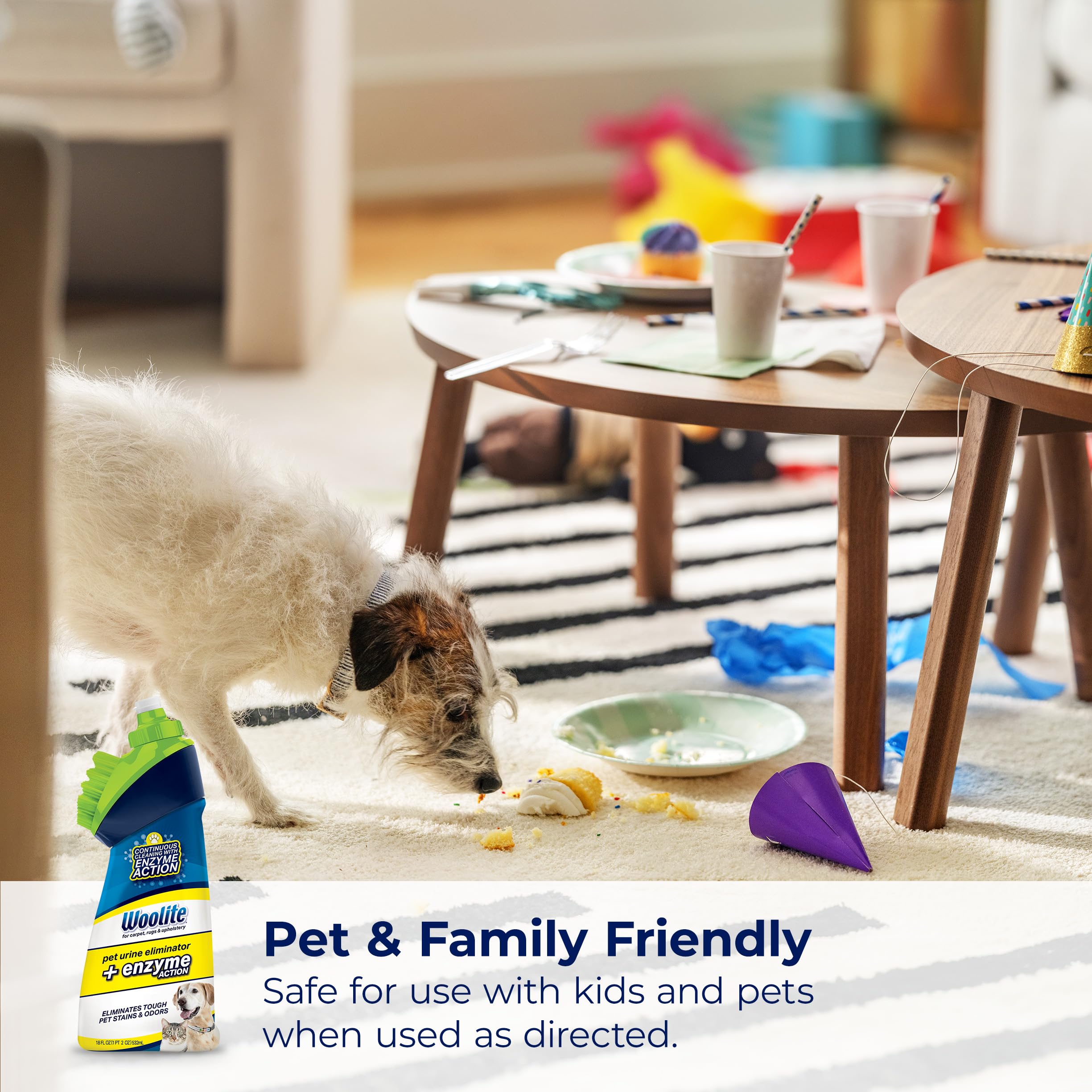 Compact 4-pack packaging of Woolite Pet Urine Eliminator for easy storage