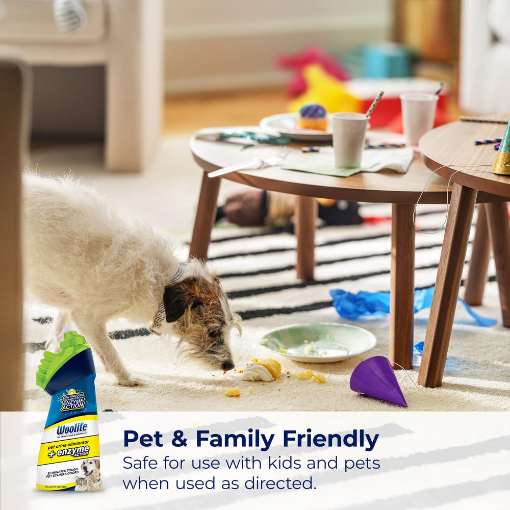 Compact 4-pack packaging of Woolite Pet Urine Eliminator for easy storage