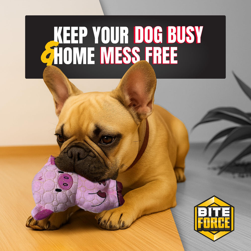 Bite Force birthday toy option suitable for celebrations.