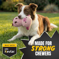 Bite Force Kevlar-reinforced seams ensure long-lasting durability.