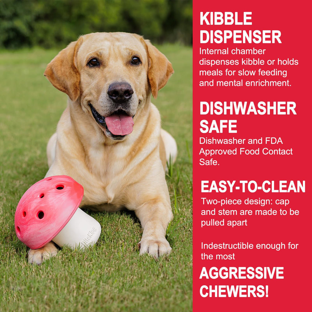 BiteKing easy-cleaning dishwasher-safe toy simplifies post-meal cleanup.