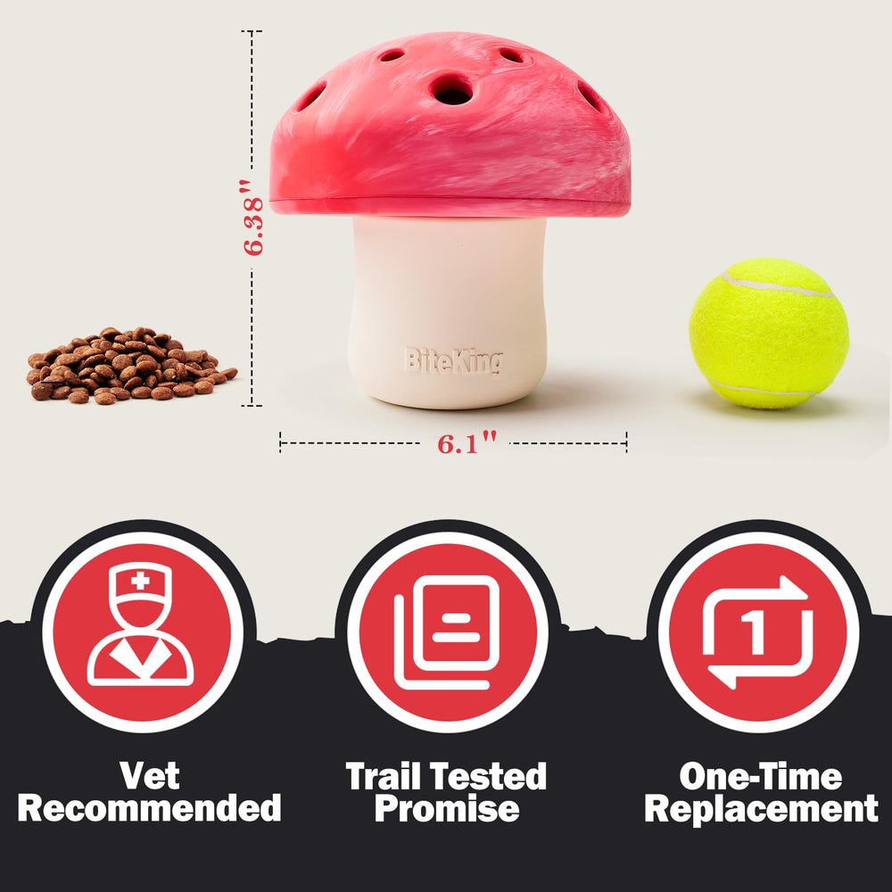 BiteKing lifetime-replacement promise supports durable, long-lasting play.