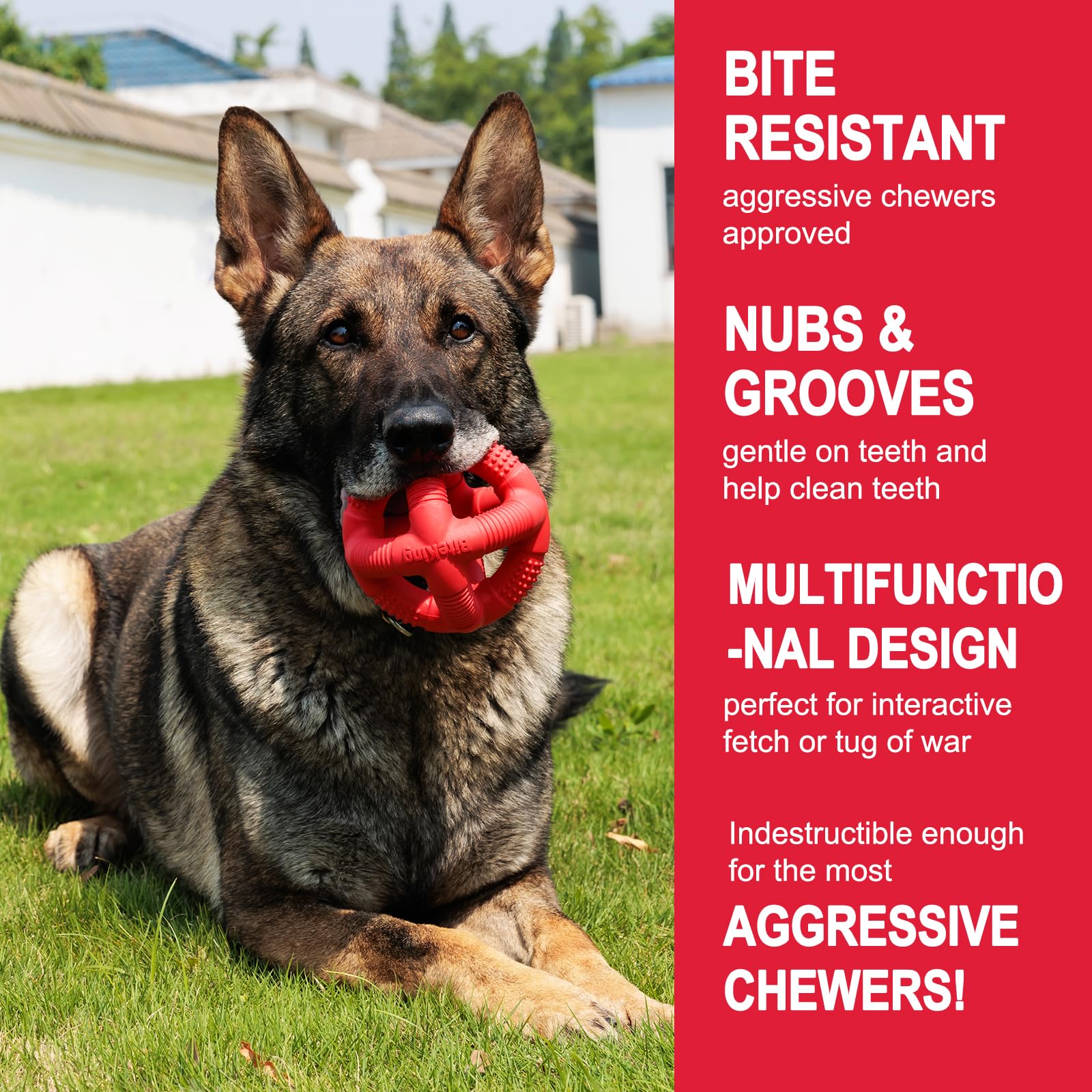 BiteKing natural rubber toy emphasizes sustainability and pet safety.