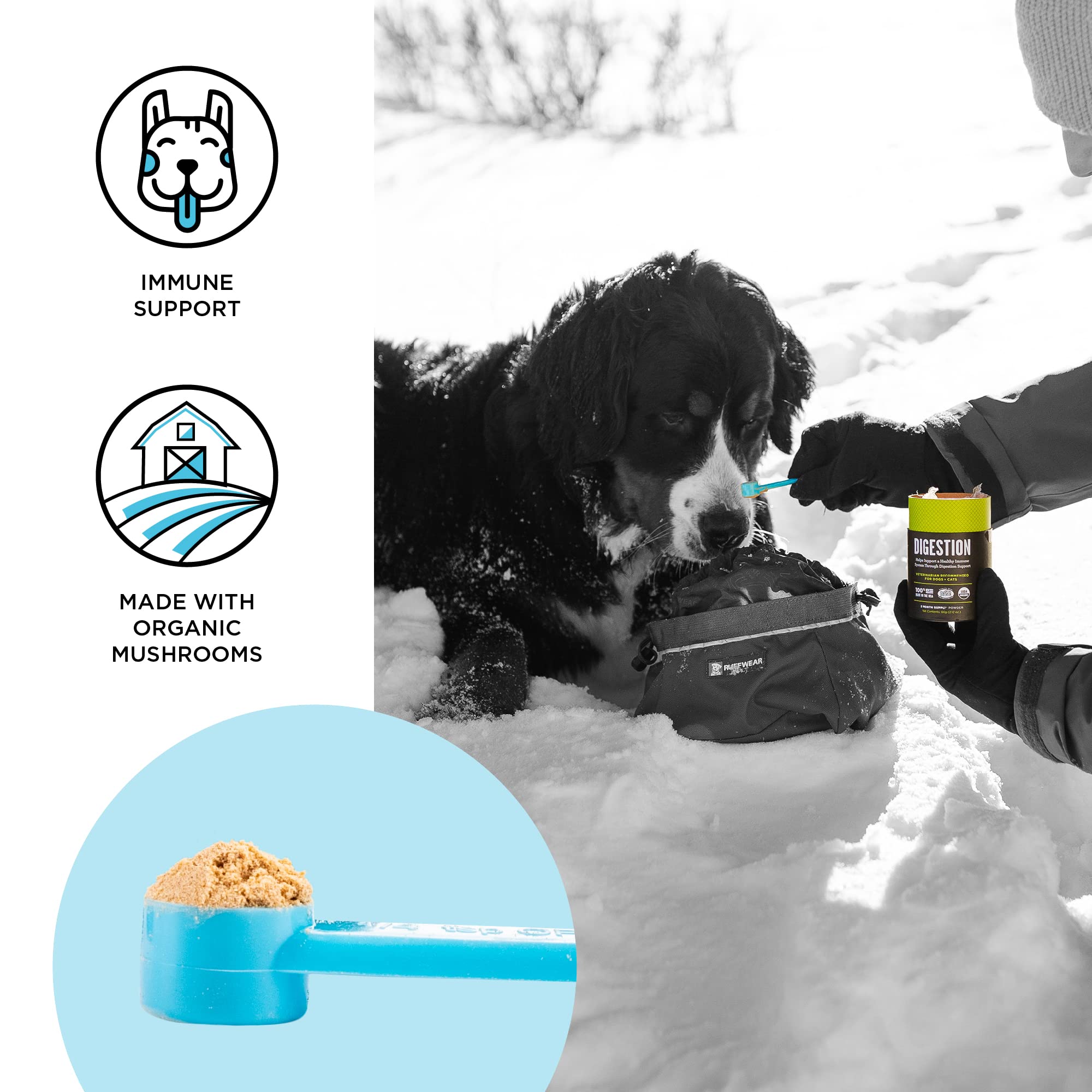 BIXBI Immunity Daily powder with scoop shows measurement for easy dosing.