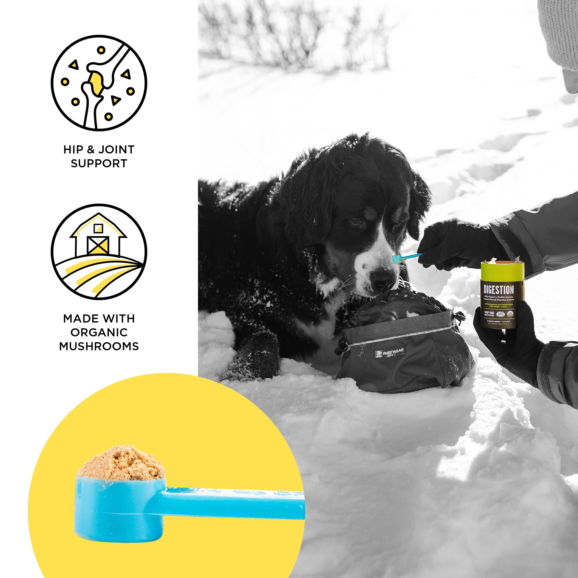 BIXBI Joint Support mixed into pet food for joints.