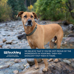 BIXBI Liberty chicken wet food pack image shows a convenient 12-can option for owners.