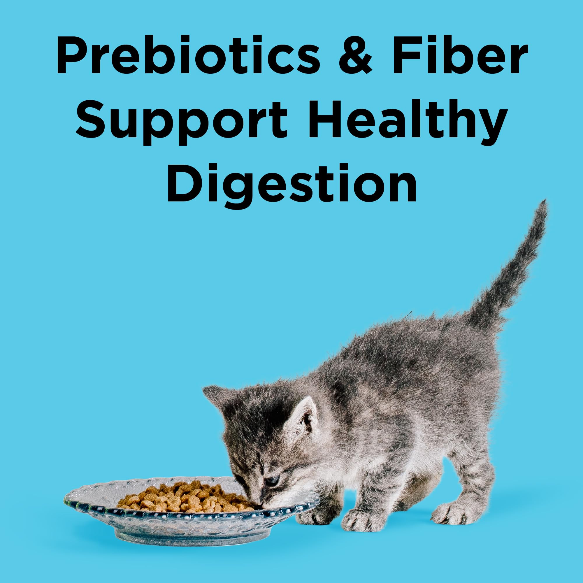 BIXBI Liberty miscanthus fiber closeup highlighting prebiotics.