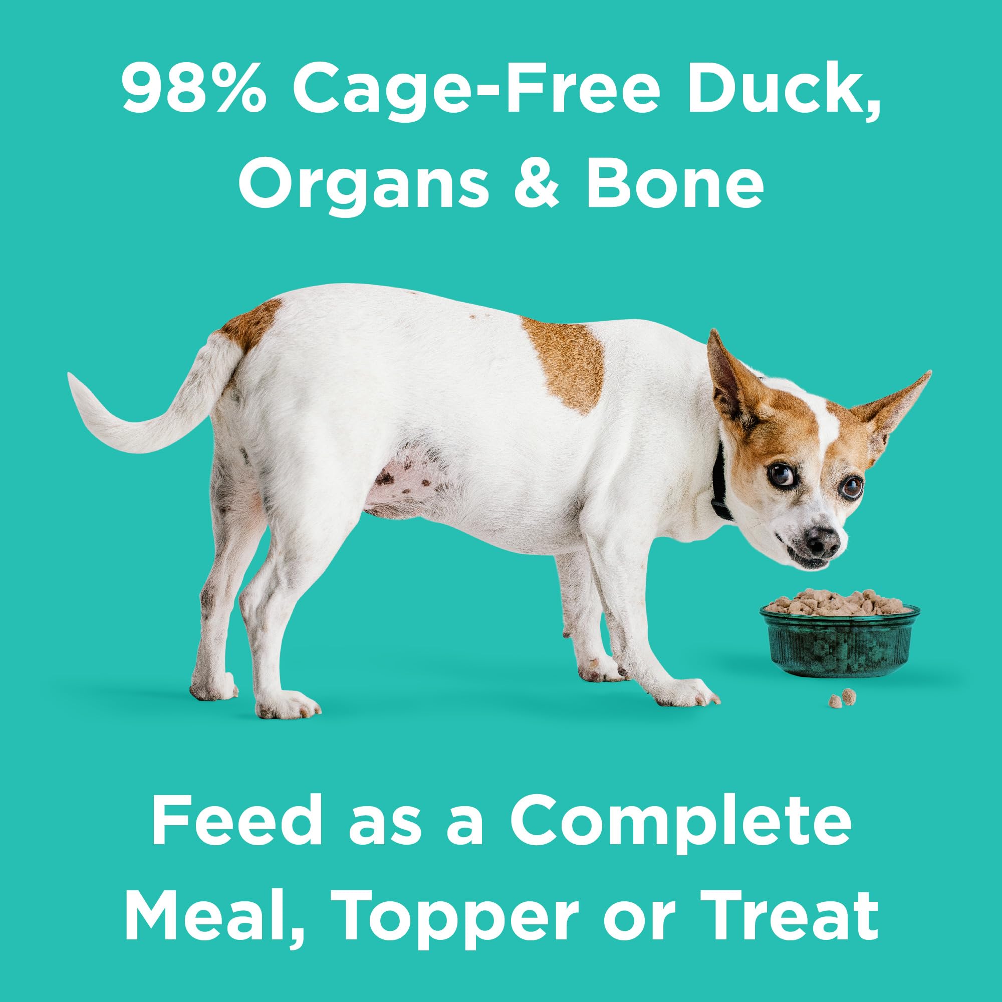 Topper over kibble boosts flavor and protein for dogs