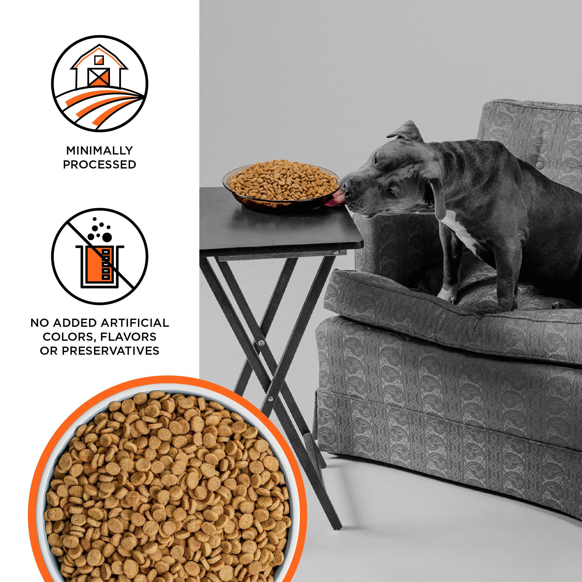 BIXBI Liberty close-up kibble texture highlights grain-free formula with real chicken.