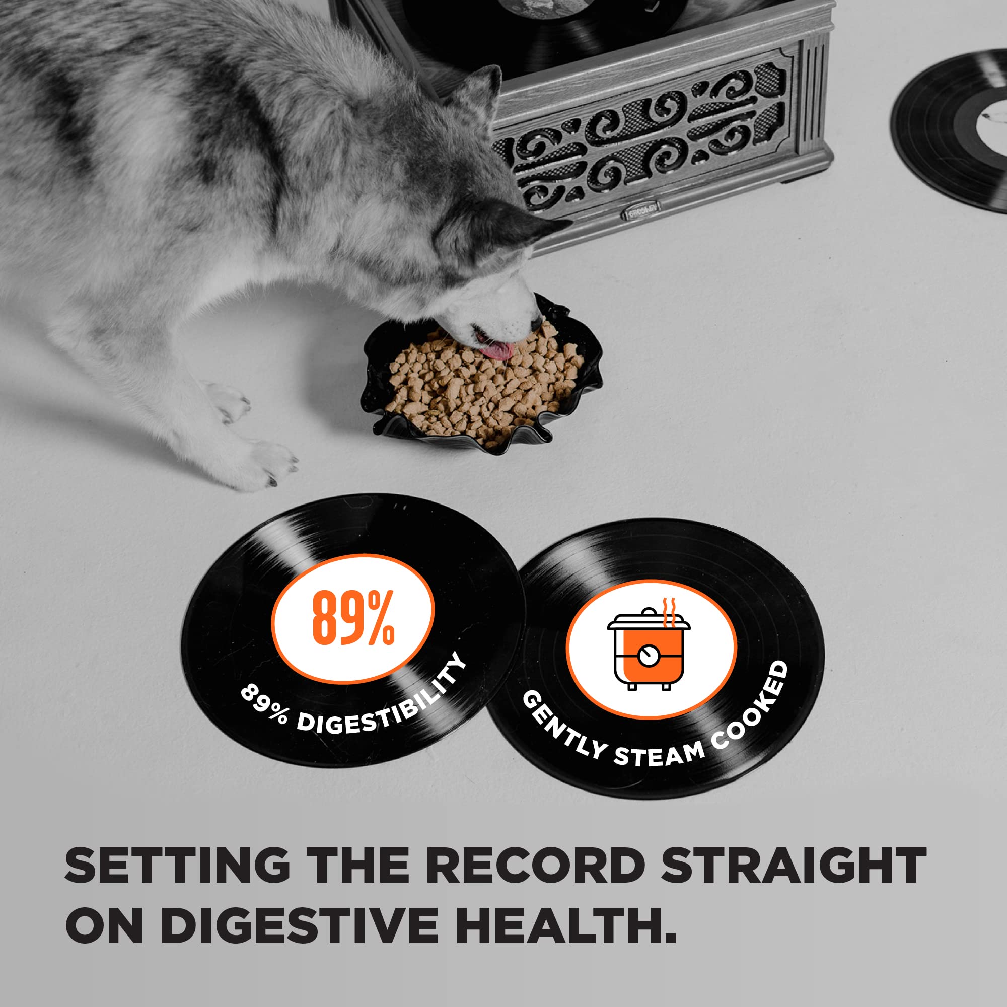 BIXBI Liberty serving size image demonstrates measured portions for balanced daily feeding.