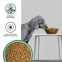 Closeup of BIXBI Liberty grain-free kibble showing texture and meat-forward formula