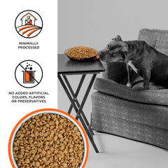 BIXBI Liberty serving bowl with kibble texture supports lean muscle and energy.