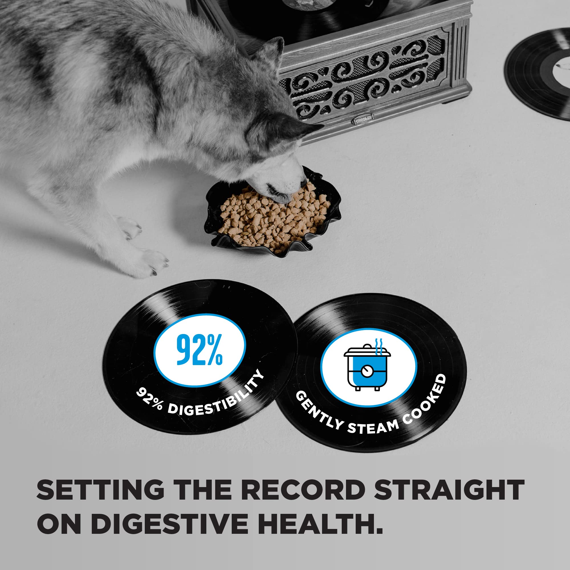 BIXBI Liberty kibble shows 30% protein for lean muscles and energy