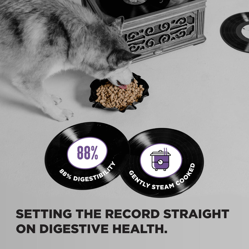 BIXBI Liberty grain-free lamb formula is gentle on sensitive stomachs.