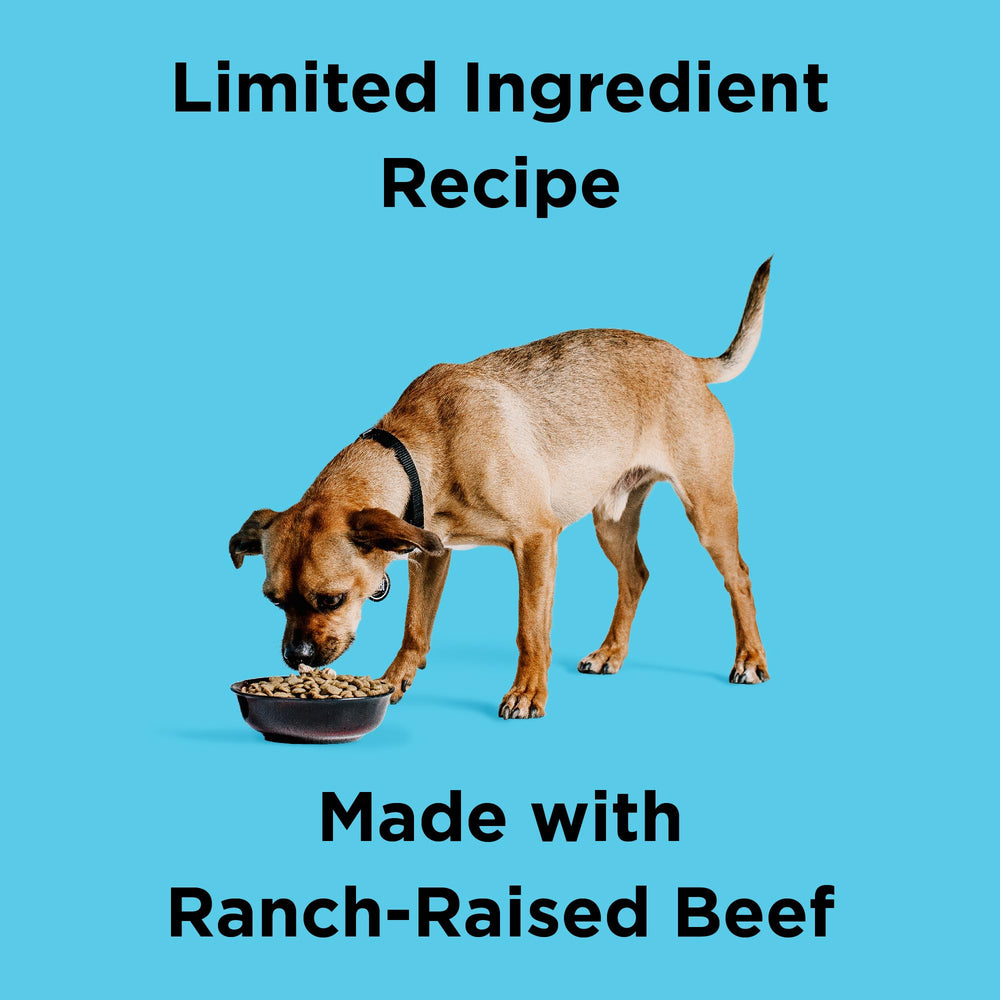 BIXBI Liberty lean-muscle action shot emphasizing protein for active dogs