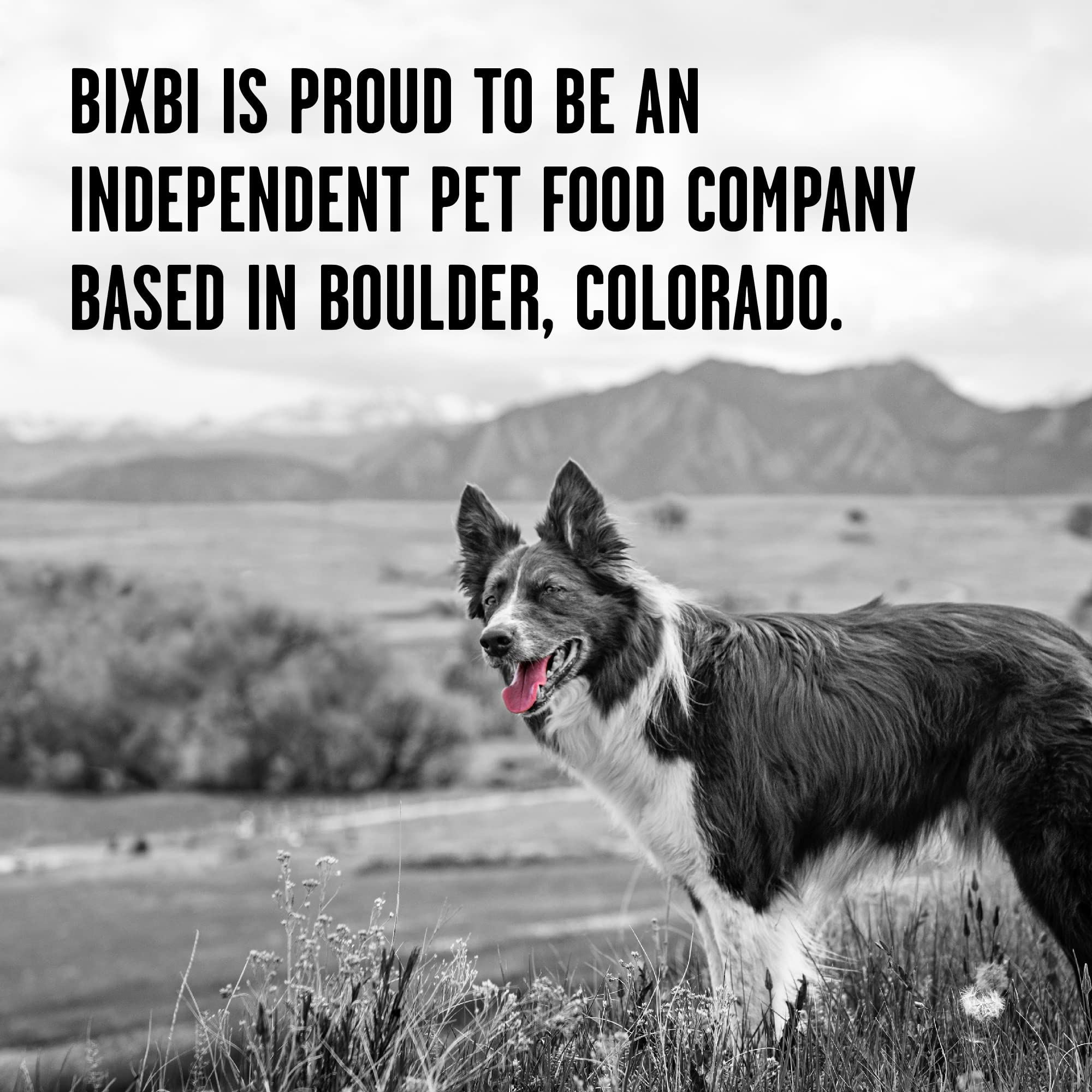 Happy dog enjoying a meal with Liberty topper, showcasing tasty, protein-rich feeding
