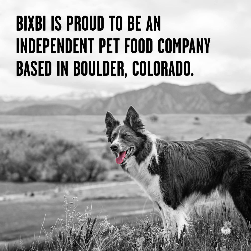 Happy dog enjoying a meal with Liberty topper, showcasing tasty, protein-rich feeding